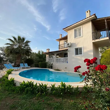Chedar Fethiye